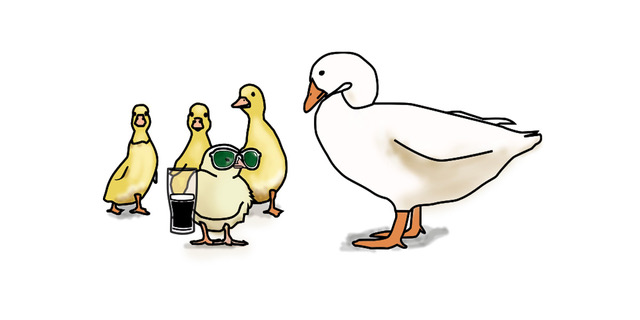 Momma and ducklings